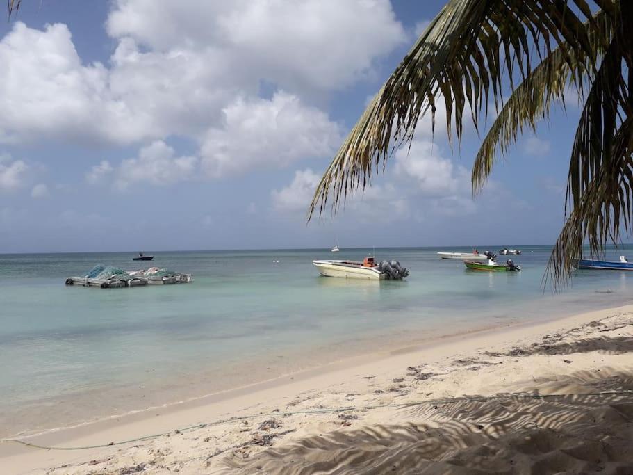 Au Bout Du Reve - Le Gosier Villa Le Gosier  Buitenkant foto